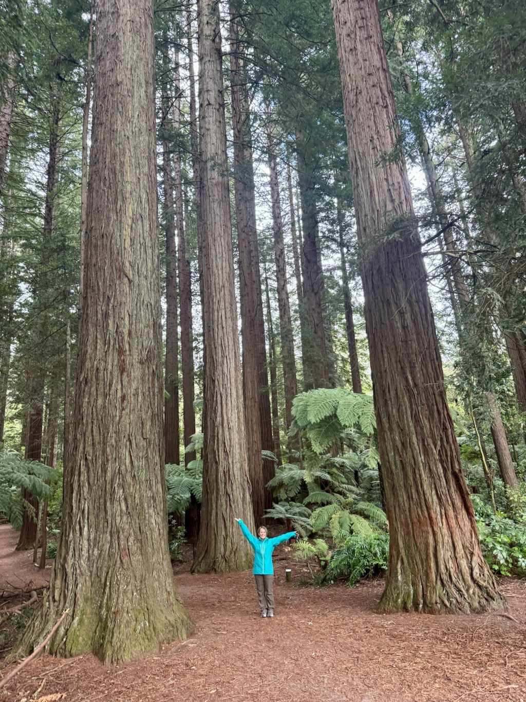 New Zealand – Kia&nbsp;Ora